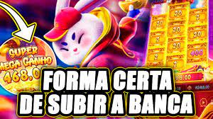 como jogar rabbit